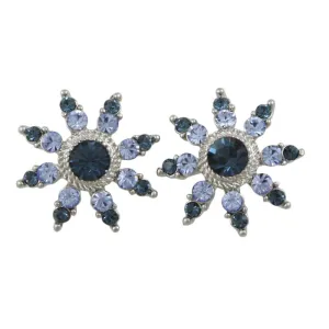 Dark and Light Blue Crystal Flower Pierced Earring - REC828