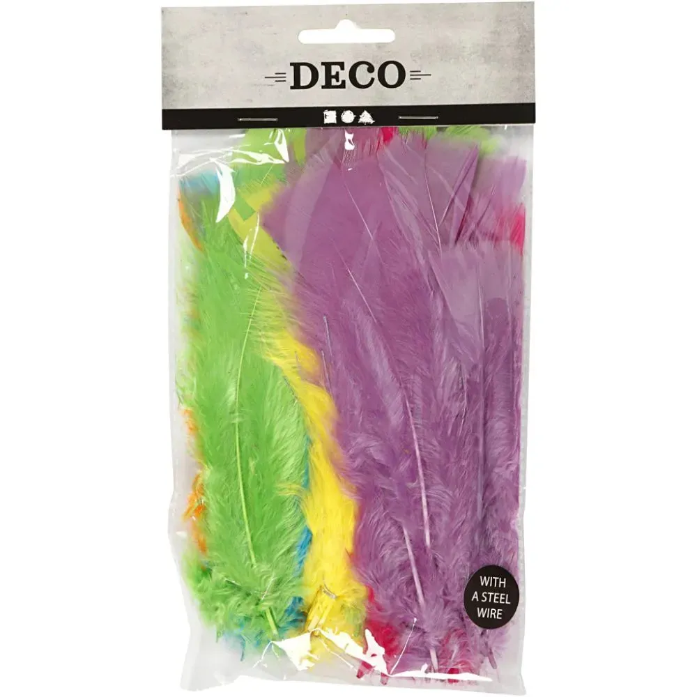Feathers Craft Accessories Decoration x 18 Bundles L:11-17 cm Assorted Colours