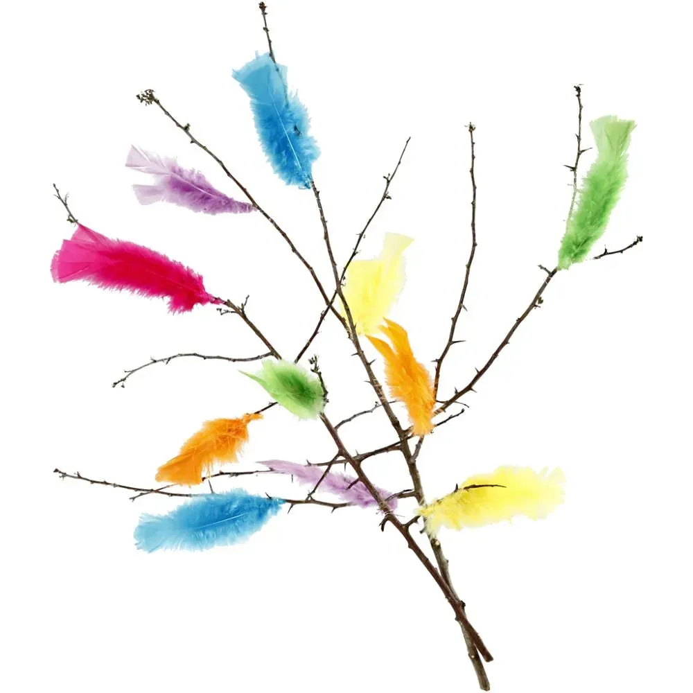 Feathers Craft Accessories Decoration x 18 Bundles L:11-17 cm Assorted Colours