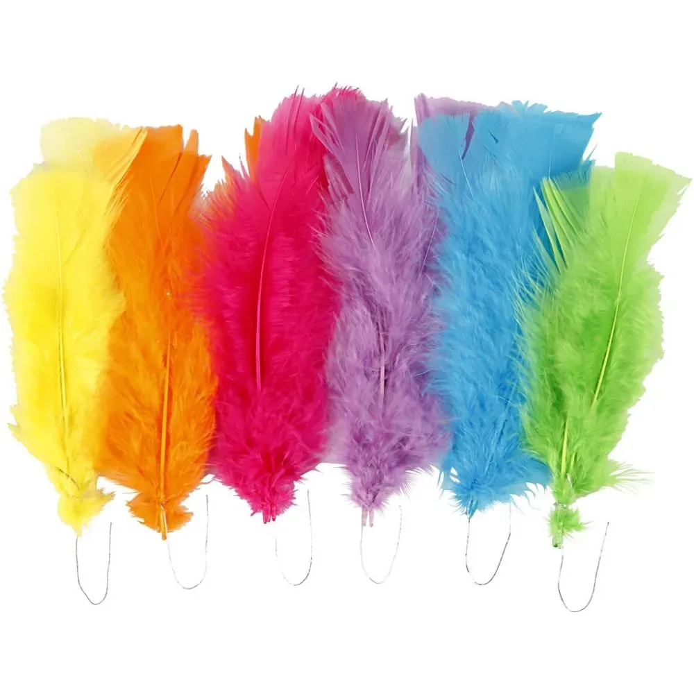 Feathers Craft Accessories Decoration x 18 Bundles L:11-17 cm Assorted Colours