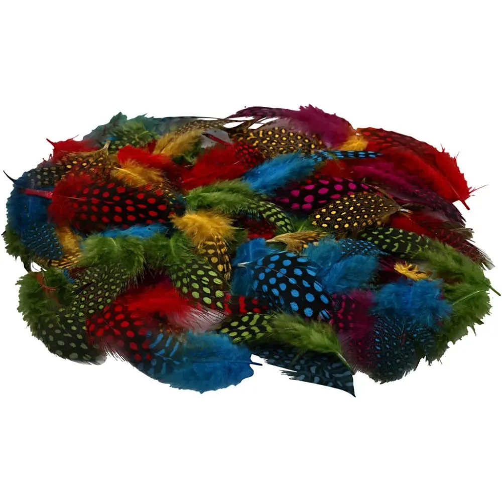 Guinea Fowl Feathers Craft Hat Decoration Approx.100 Pieces Assorted Colours 3g