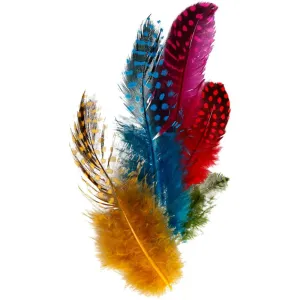 Guinea Fowl Feathers Craft Hat Decoration Approx.100 Pieces Assorted Colours 3g
