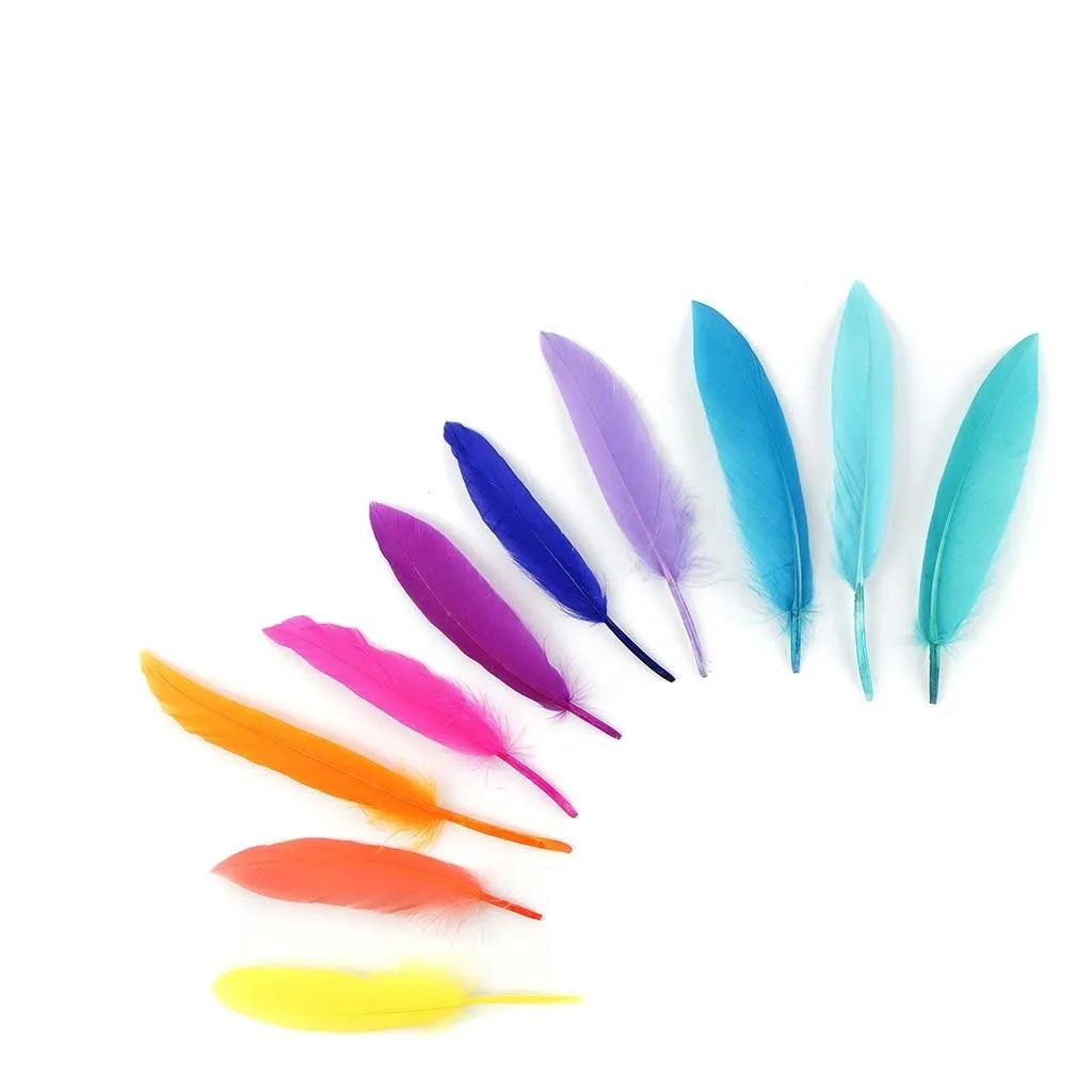 Quill Feathers (82 Pack)