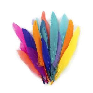 Quill Feathers (82 Pack)