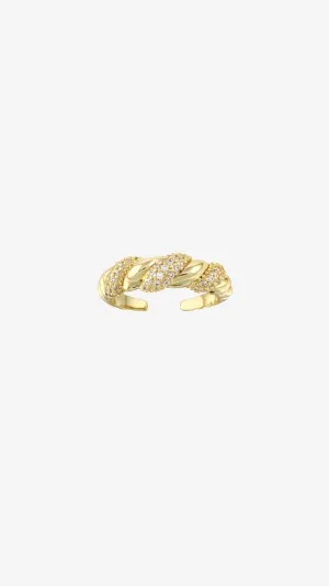 Reggie Ring