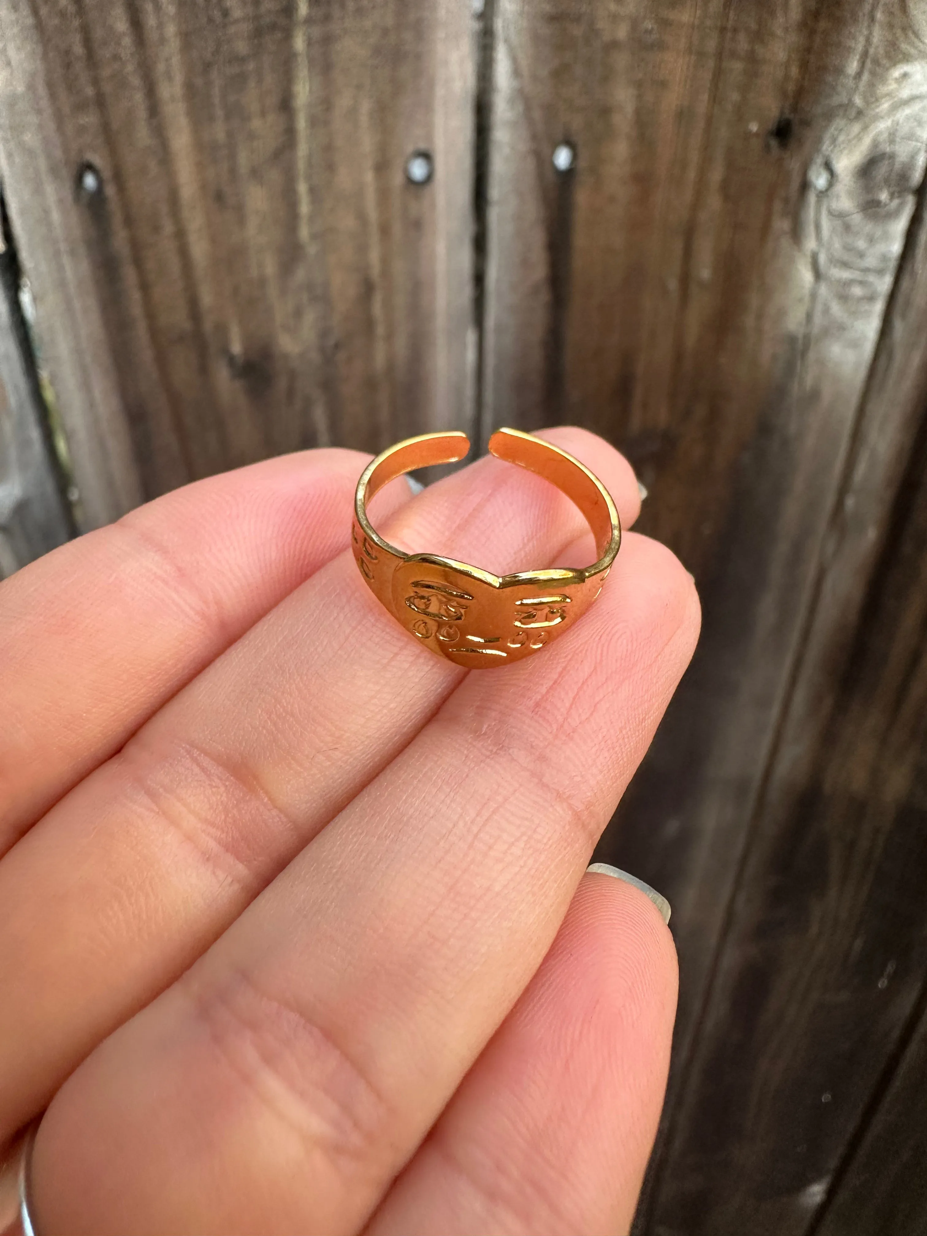 Sad Sally Signet Ring ❤️‍🩹