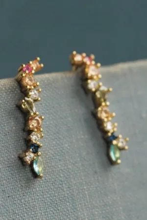 SILK PURSE SOW'S EAR RAINBOW EARRINGS