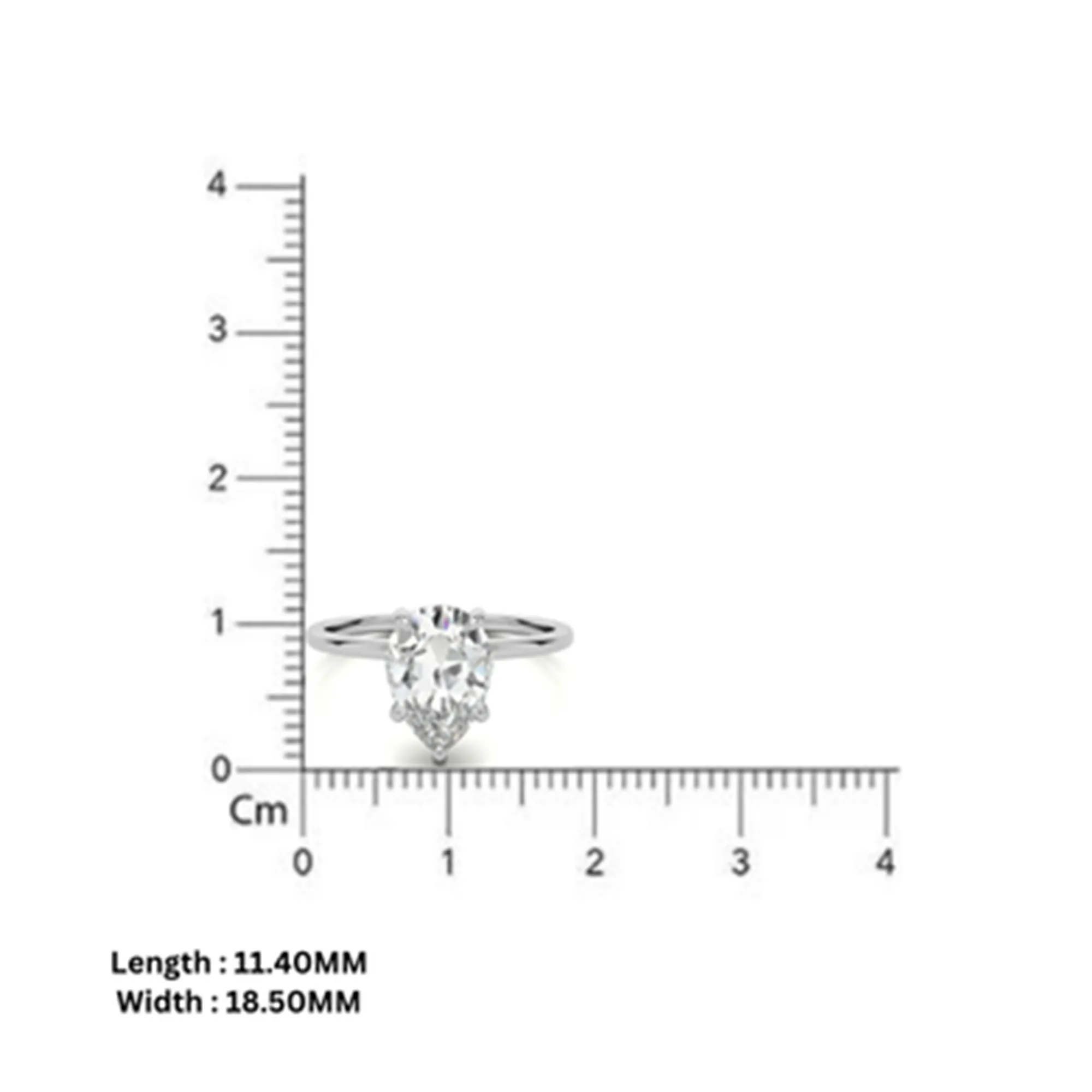 Silver Catharina Crown Ring