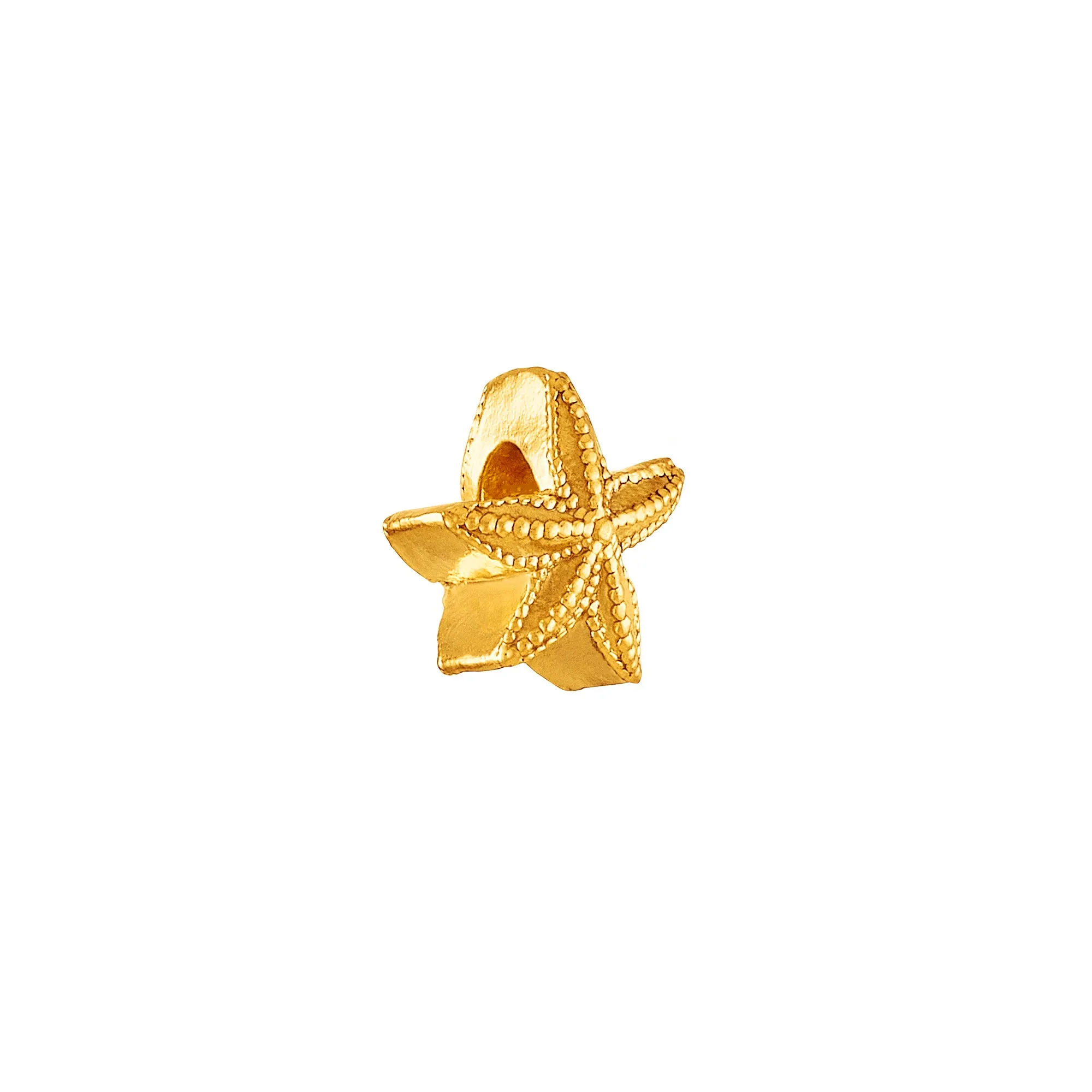 Starfish Charm