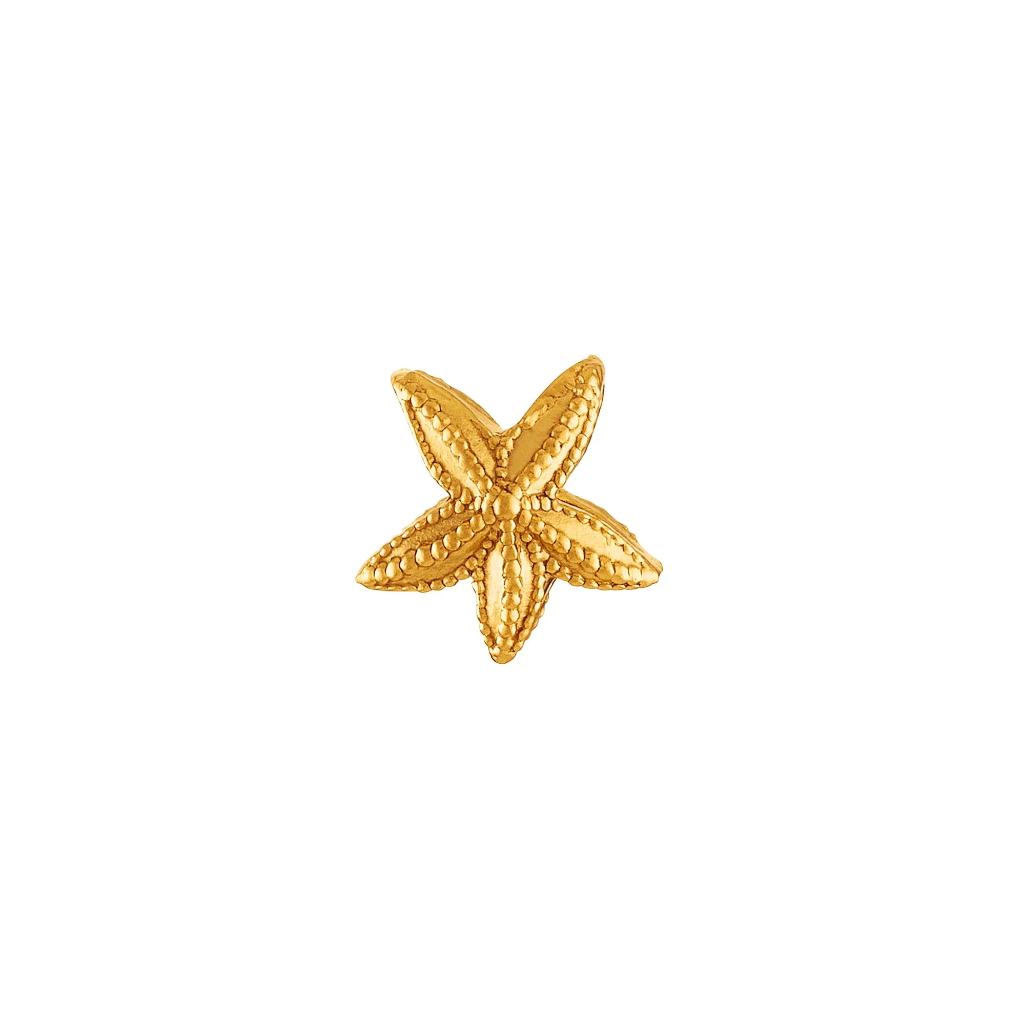 Starfish Charm