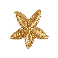 Starfish Charm